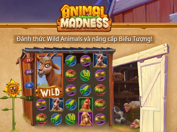 jackpot Animal Madness